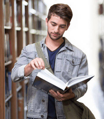 ib grading system in 2024